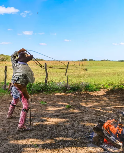 Corrientes 'li bir Güney Amerikalı Gaucho, Arjantin düzlüklerinin engin mavi gökyüzünün altında kırsal arazide, açık ateşin yanında kementleme becerilerini geliştiriyor.