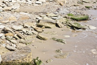 Seaside büyük taşlarla