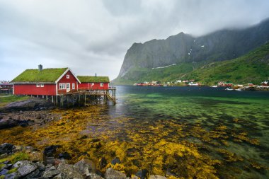 Norveç köy Reine doğal dağlar ve yeşil su