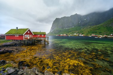 Norway village Reine near the scenic mountains and green water clipart