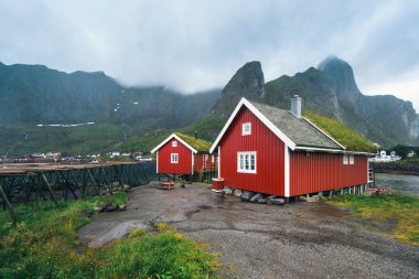 Norveç köy Reine doğal dağlar ve yeşil su