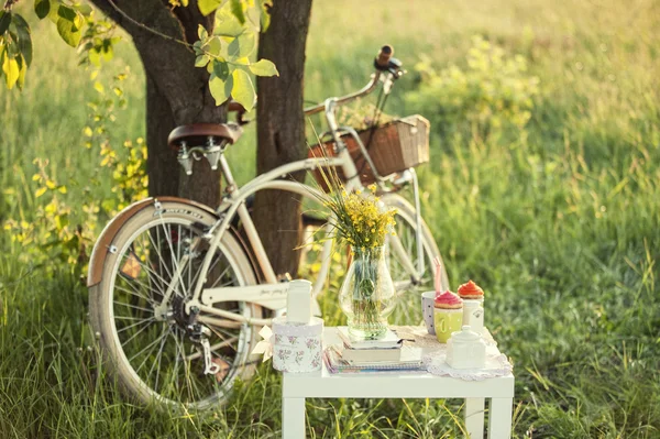 Sepet ve dekorasyon fotoğraf oturumu için bisiklet