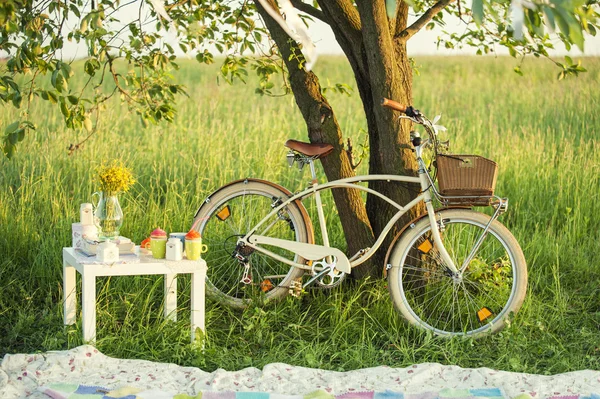 Rower z zestawem piknikowym w letni dzień — Zdjęcie stockowe