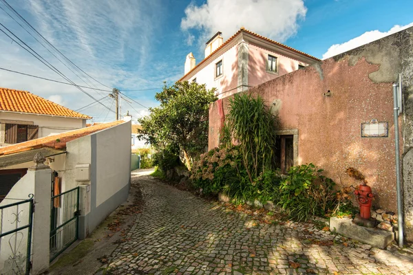 美丽的建筑，在阳光明媚的街道。葡萄牙的辛特拉 — 图库照片