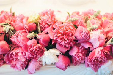 güzel pembe peonies