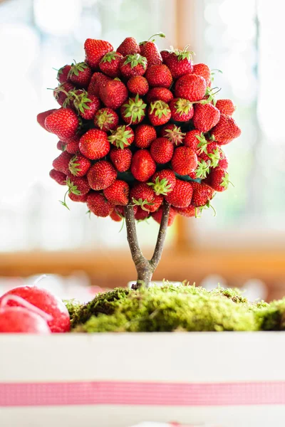 Árvore de morango — Fotografia de Stock