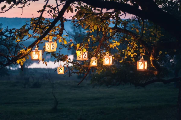 Brandende lantaarns op de boom — Stockfoto