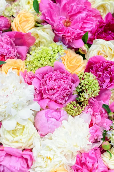 Vackra blommor — Stockfoto
