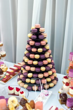 Lezzetli renkli kurabiye plaka üzerinde