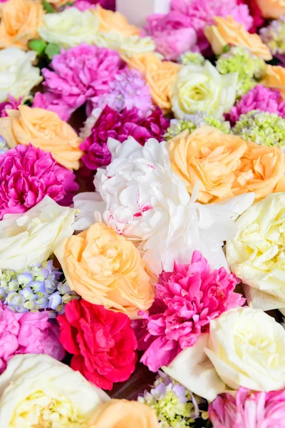 Färgglada vårblommor. Vacker bakgrund med blommor — Stockfoto