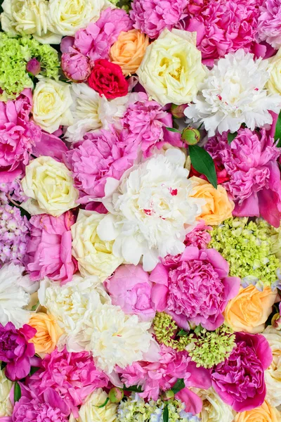 Färgglada vårblommor. Vacker bakgrund med blommor — Stockfoto