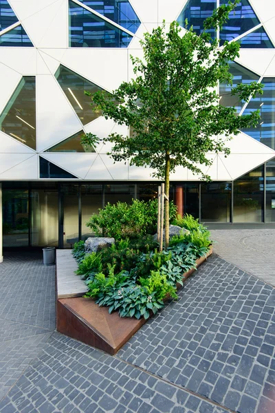 Tezgah yakınındaki ağaç Oslo City, Norveç