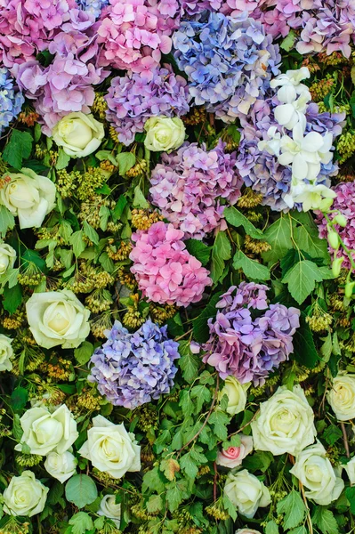 Güzel çiçekler duvar