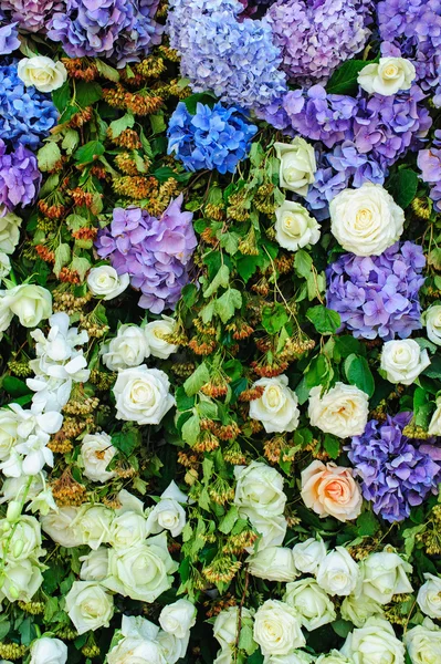 Beautiful flowers wall — Stock Photo, Image