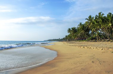 Sri Lanka 'da el değmemiş tropik plaj
