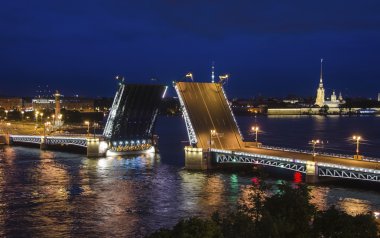 Palace Bridge, Peter ve Paul Katedrali. St-Petersburg, Rusya'nın beyaz geceler