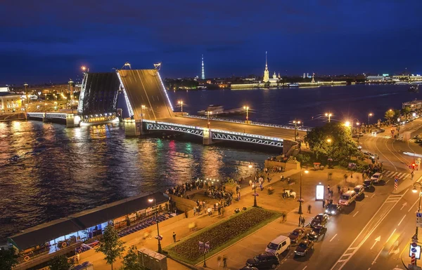 Palace Bridge, Peter ve Paul Katedrali. St-Petersburg, Rusya'nın beyaz geceler