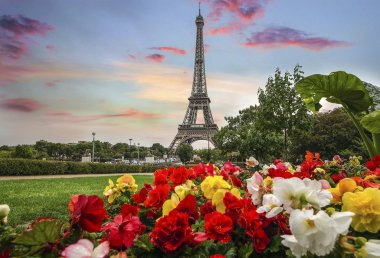 Paris şehir çatı ile Eyfel Kulesi manzarası