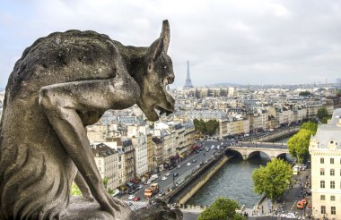 Chimera Notre Dame Katedrali Paris, Fransa. Heykelin üzerine odaklanmak