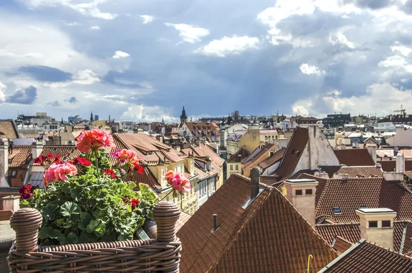 Rooftop terrace overlooking Prague Czech Republic capital city with Orloj and Church of Our Lady before Tyn with planted flowers on a beautiful sunny blue sky day — Stock Photo, Image