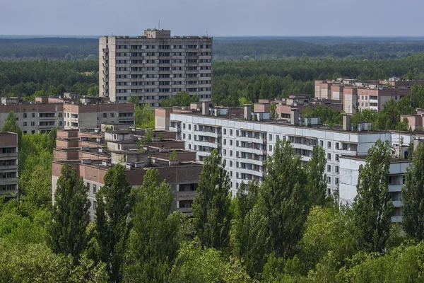 Természet nyer a szellem Pripjaty város közelében csernobili atomerőmű — Stock Fotó