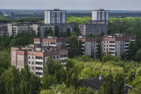 Természet nyer a szellem Pripjaty város közelében csernobili atomerőmű — Stock Fotó