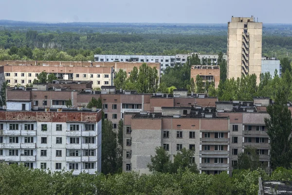 Természet nyer a szellem Pripjaty város közelében csernobili atomerőmű — Stock Fotó