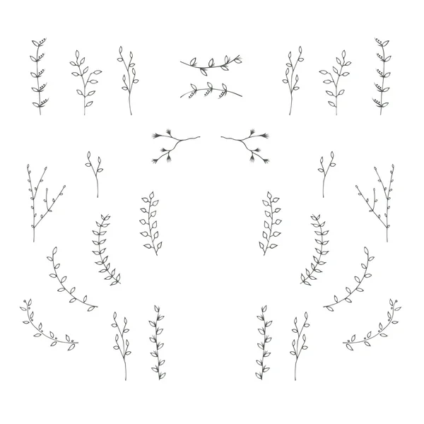 Conjunto de elementos de design gráfico de ramos desenhados à mão . — Vetor de Stock