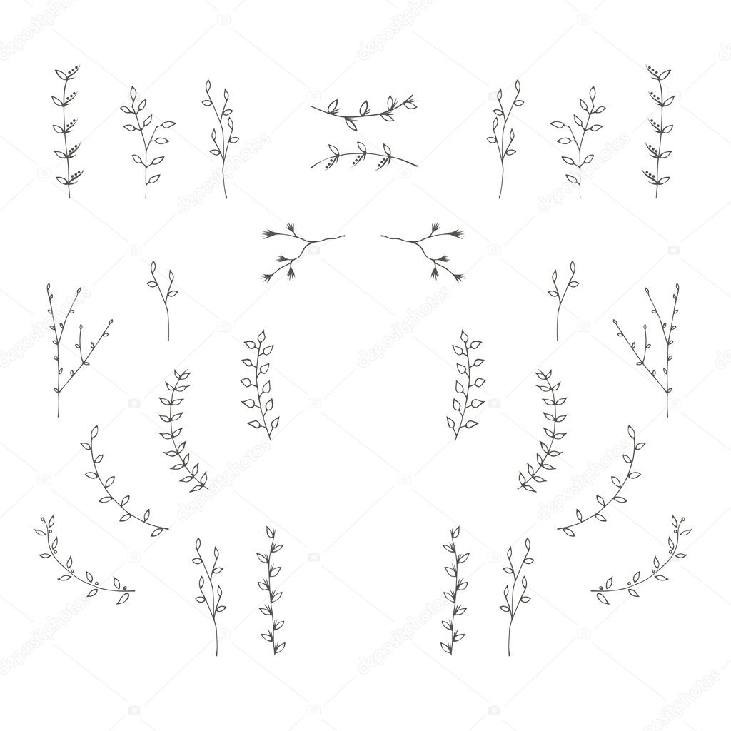 Hand-drawn branches graphic design elements set.