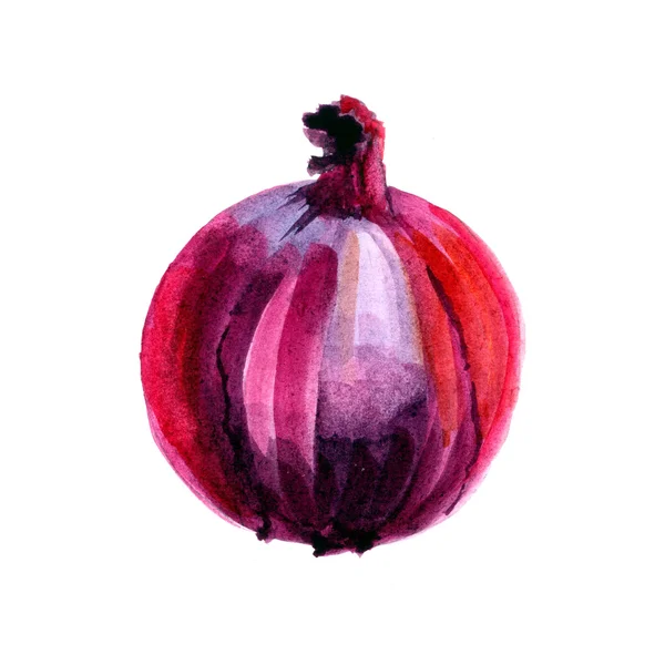 Aquarell rote Zwiebel auf weißem Hintergrund — Stockfoto