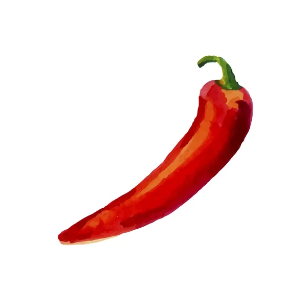 Watercolor chili pepper isolated on white background — Stock Vector