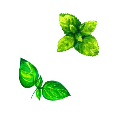 Beyaz arka plan üzerinde gerçekçi suluboya resim otlar kümesi