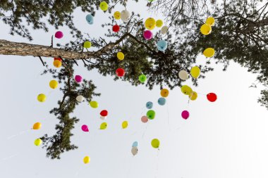 Rare diseases balloons clipart