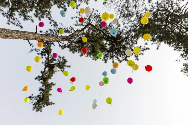 Rare diseases balloons — Stock Photo, Image