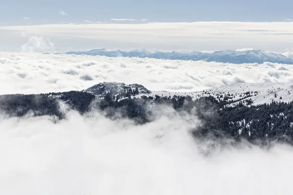 Vitosha montanha na neve e névoa — Fotografia de Stock