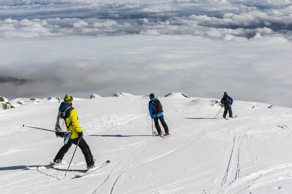 Jinetes libres en la cima de la montaña — Foto de Stock