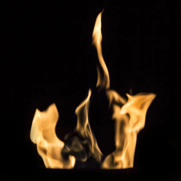 Fire flames on black — Stock Photo, Image