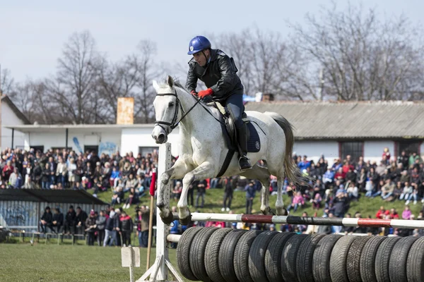 Pferd Polizei Barriere springen — Stockfoto