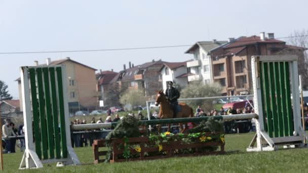 Horse police barrier jumping — Stock Video