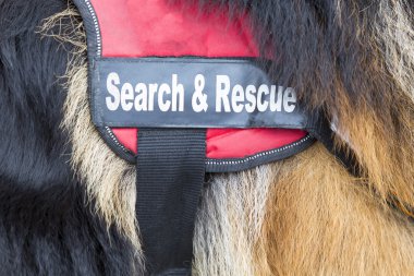 Search and rescue dog clipart