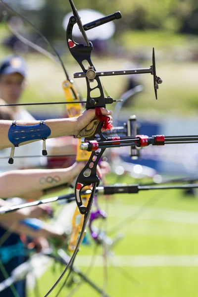 Recurve bow archery competition hand only. vertical — Stock Photo, Image