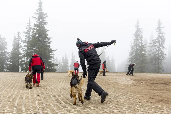 Röda korset flygräddningstjänst team — Stockfoto