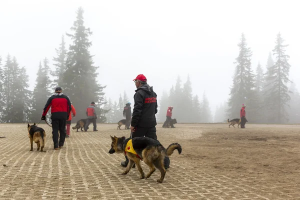 Red Cross search and rescue team