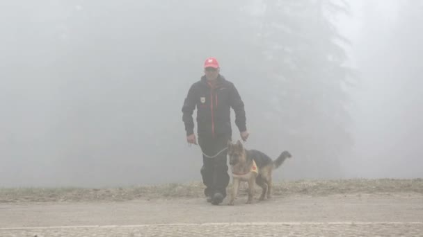 Equipo de búsqueda y rescate de la Cruz Roja — Vídeos de Stock