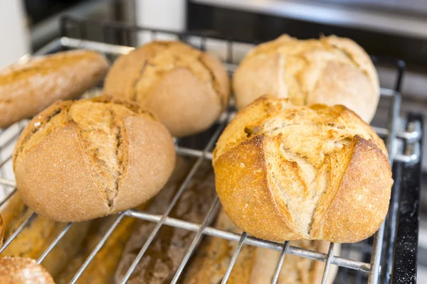 Gluten free round bread