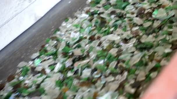 Déchets de verre dans une installation de recyclage. Particules de verre dans une machine — Video