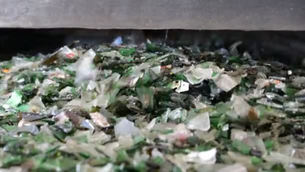 Limbah kaca di fasilitas daur ulang. Partikel kaca dalam mesin — Stok Video