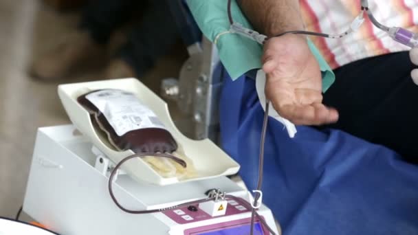 Voluntarios de donación de sangre — Vídeos de Stock