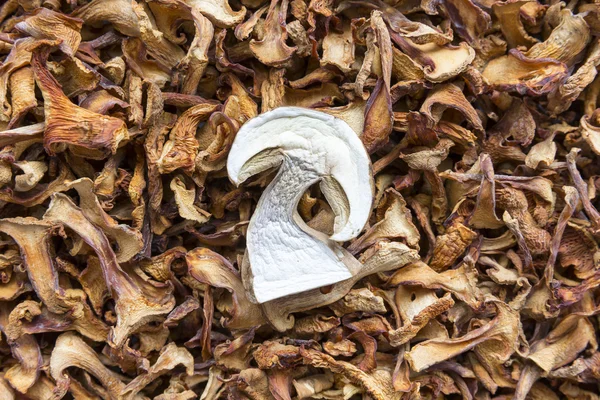 Finferli secchi e funghi porcini — Foto Stock