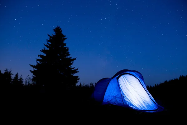 Blue tent night sky pine tree — Stock Photo, Image